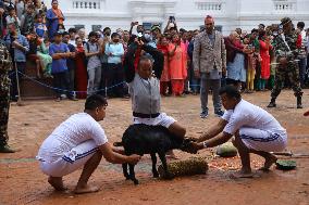 Animal sacrifice in Nepal on Maha Nawami
